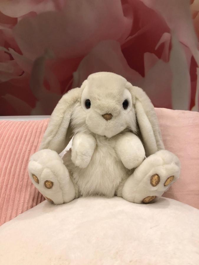 דירות Pan Pan Le Lapin Aubagne-Cassis-Aix En Provence מראה חיצוני תמונה
