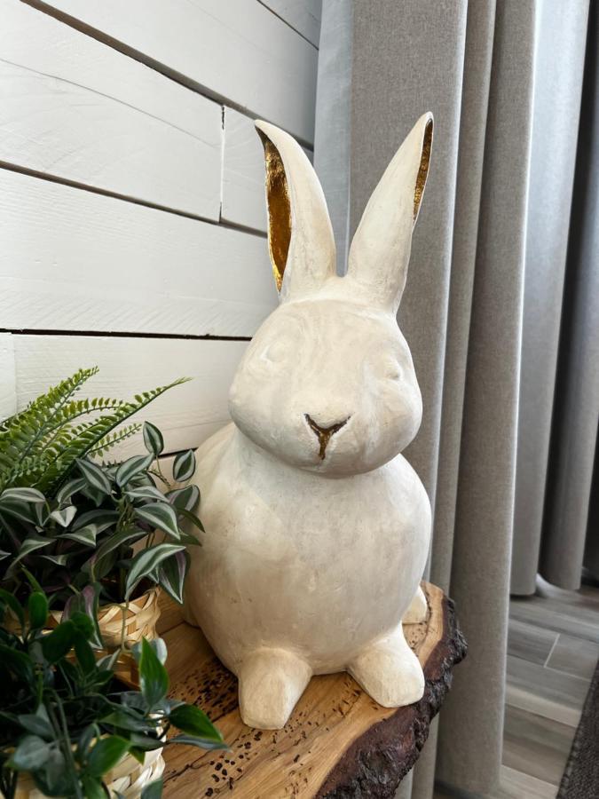 דירות Pan Pan Le Lapin Aubagne-Cassis-Aix En Provence מראה חיצוני תמונה